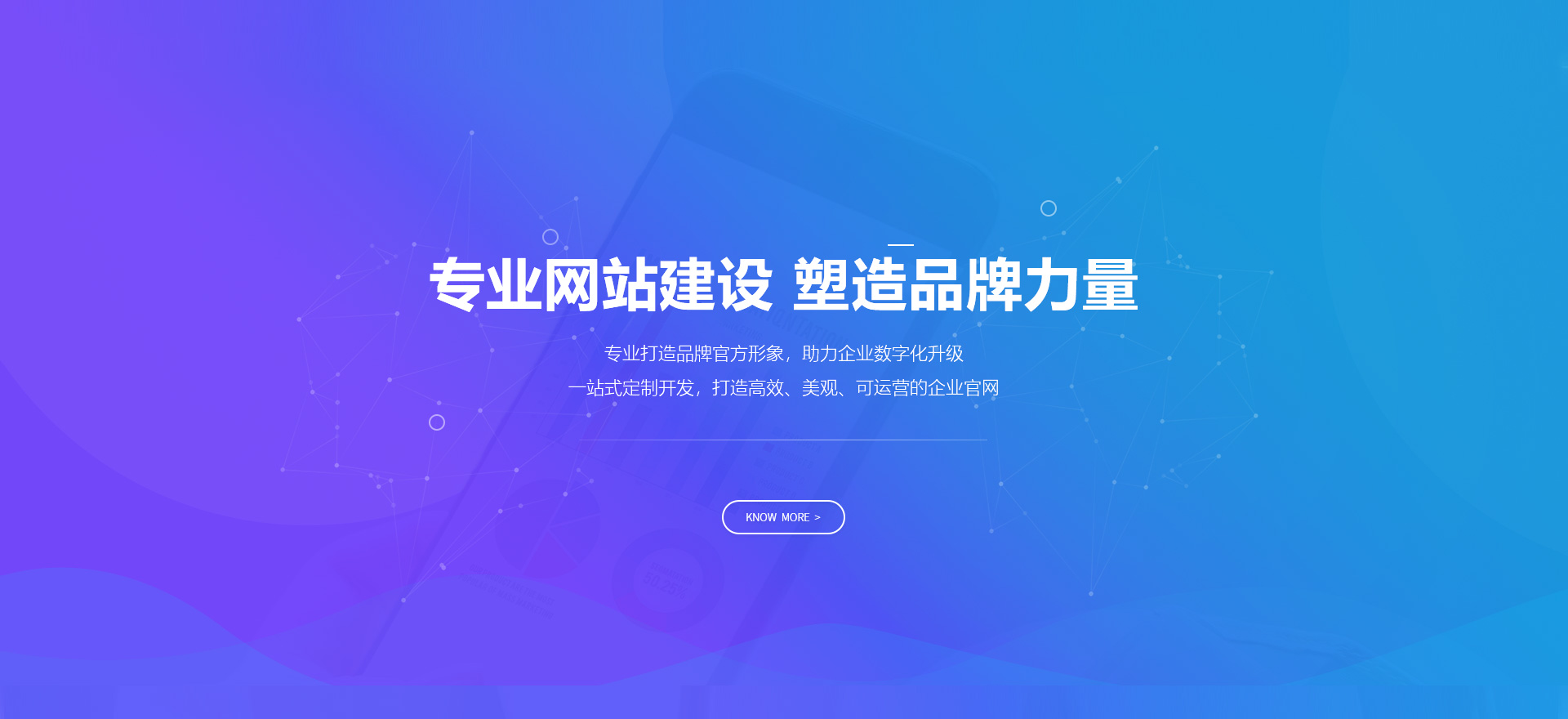 南宁建站-专业网站建设 塑造品牌力量
