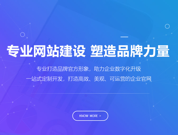 南宁建站-专业网站建设 塑造品牌力量